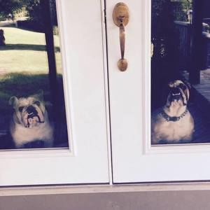 Meet your Posher, Kylie